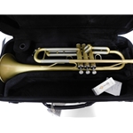 Blessing BTR1460M Trp-Brushed Brass